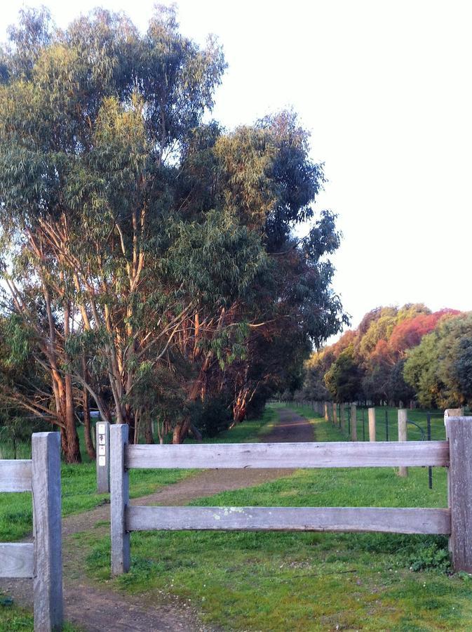 The Estate Koroit Boutique Hotel Exteriör bild